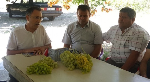 Dünyanın Dikkatini Çekecek Festival Yenicekentde