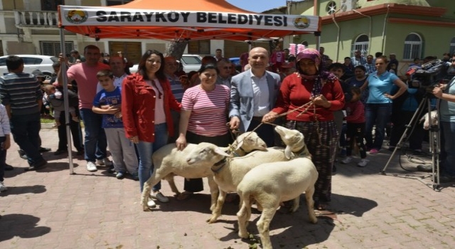 En İyi Erik, En Güzel Koç Ve En Güzel Buzağı Seçildi