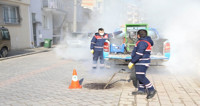 PAMUKKALE’DE SİVRSİNEK İLE MÜCADELE DEVAM EDİYOR