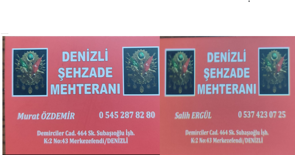 Güreş paü enüst , Zolan